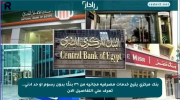 بنك مركزي يتيح خدمات مصرفية مجانية من ٣٦ بنكًا بدون رسوم أو حد أدنى.. تعرف على التفاصيل الآن